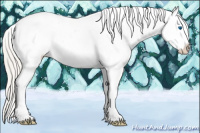 Horse Color:Gold Cream Champagne Pearl Splash Tobiano Appaloosa 