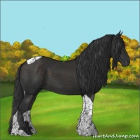 Horse Color:Liver Chestnut Tobiano