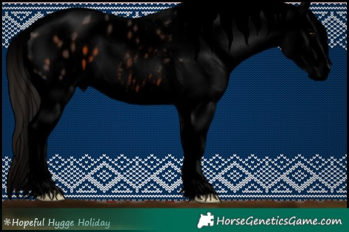Horse Color:Void Bay Tobiano Appaloosa 