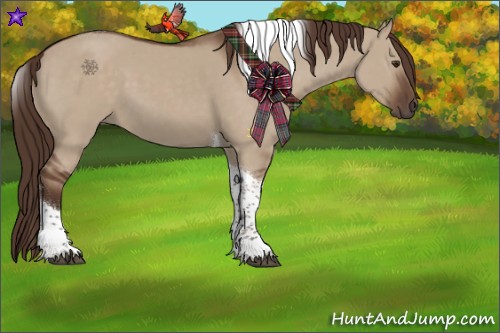 Horse Color:Liver Red Dun Tobiano 