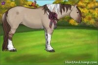 Horse Color:Liver Red Dun Tobiano 