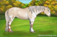 Horse Color:White Spotted Silver Buckskin Pearl Dun 
