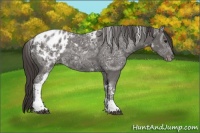 Horse Color:Smoky Black Ice Tobiano Varnish 