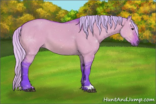 Horse Color:Watercolor Silver Bay Dun 