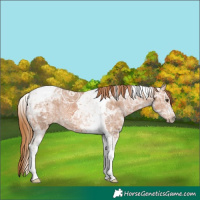 Horse Color:Chestnut Ice Tobiano 