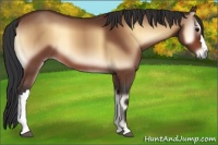 Horse Color:Brown Onyx