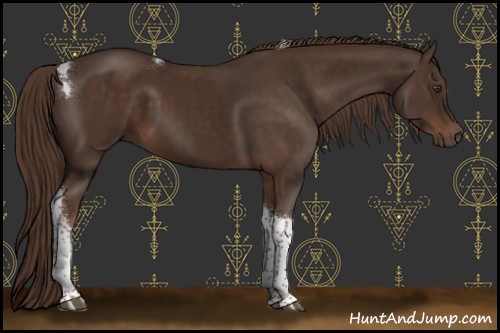 Horse Color:Liver Chestnut Tobiano