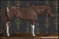 Horse Color:Liver Chestnut Tobiano 