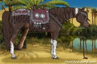 Horse Color:Liver Chestnut Tobiano 