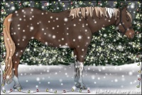 Horse Color:Liver Chestnut Tobiano 