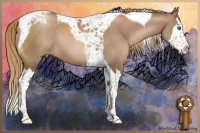 Horse Color:Liver Chestnut Pearl Splash Tobiano Rabicano