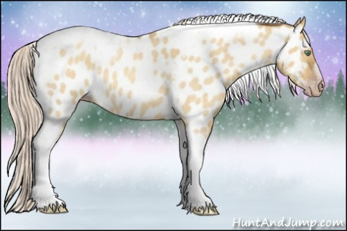 Horse Color:Gray Silver Amber Cream Champagne Roan Dun Splash Tobiano Frame Appaloosa Rabicano 