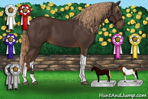 Horse Color:Liver Chestnut Tobiano