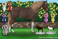 Horse Color:Liver Chestnut Tobiano