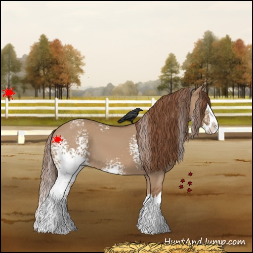 Horse Color:White Spotted Red Dun Splash 