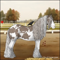 Horse Color:White Spotted Silver Grullo Sabino Splash 
