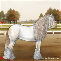 Horse Color:White Spotted Red Dun 