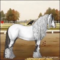 Horse Color:White Spotted Grullo Near Fewspot 