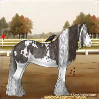 Horse Color:White Spotted Smoky Black Splash Varnish Rabicano 