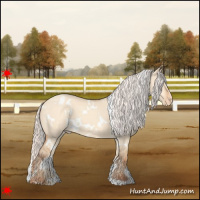 Horse Color:White Spotted Silver Amber Champagne Dun Varnish 