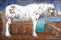 Horse Color:Liver Chestnut Sabino Tobiano Appaloosa  and Chocolate Palomino Roan Tobiano Appaloosa 