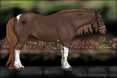 Horse Color:Liver Chestnut Tobiano