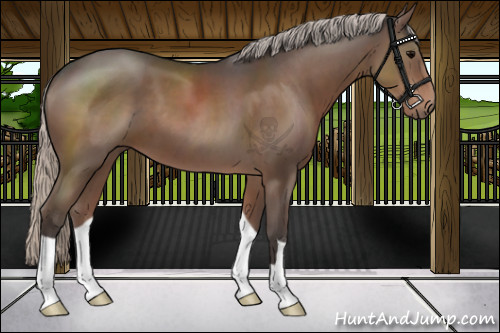 Horse Color:Silver Black 