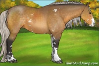 Horse Color:Silver Buckskin Sabino 