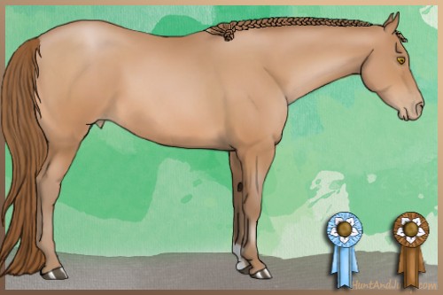 Horse Color:Bay Pearl Sabino