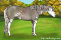 Horse Color:Silver Black Sabino 