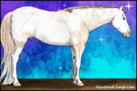Horse Color:Buckskin Pearl Sabino 