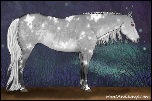 Horse Color:White Spotted Silver Grullo Chinchilla 