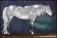 Horse Color:White Spotted Silver Grullo Chinchilla 