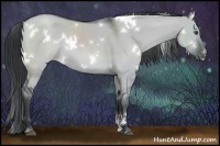 Horse Color:White Spotted Grullo Chinchilla 