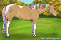 Horse Color:Painted Palomino Tobiano 