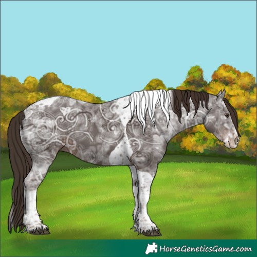 Horse Color:Liver Chestnut Ice Splash Tobiano 