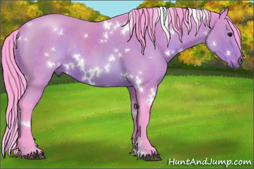 Horse Color:Watercolor White Spotted Bay Roan Rabicano 