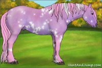 Horse Color:Watercolor White Spotted Bay Roan Rabicano 