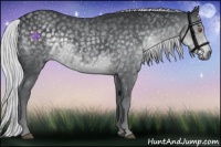 Horse Color:Silver Black Chinchilla