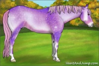 Horse Color:Watercolor Chocolate Palomino Onyx