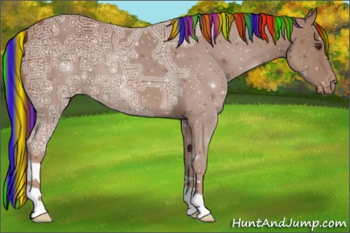 Horse Color:Painted Chestnut Ice Appaloosa 
