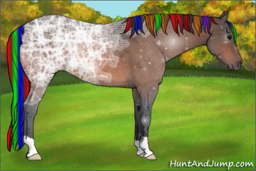 Horse Color:Painted Bay Ice Rabicano 