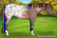 Horse Color:Painted Bay Ice Rabicano 
