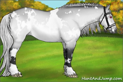 Horse Color:White Spotted Silver Brown Chinchilla Dun