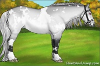 Horse Color:White Spotted Silver Brown Chinchilla Dun