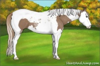 Horse Color:Liver Red Dun Splash Tobiano 