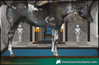 Horse Color:Platinum Midnight Liver Red Onyx Tobiano