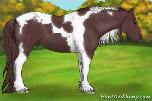 Horse Color:Chocolate Black Tobiano 