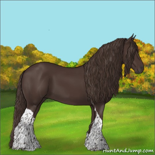 Horse Color:Liver Chestnut Tobiano