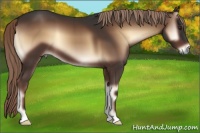 Horse Color:Liver Red Onyx